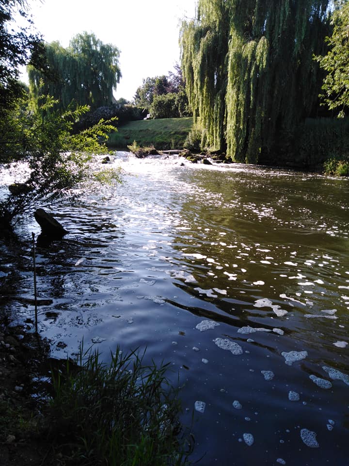 Discovering the Hidden Gem: The Enchanting River Avon at Barton