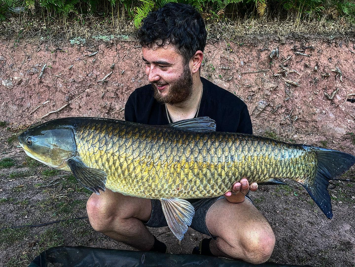a Shatterfors lakes Grass Carp