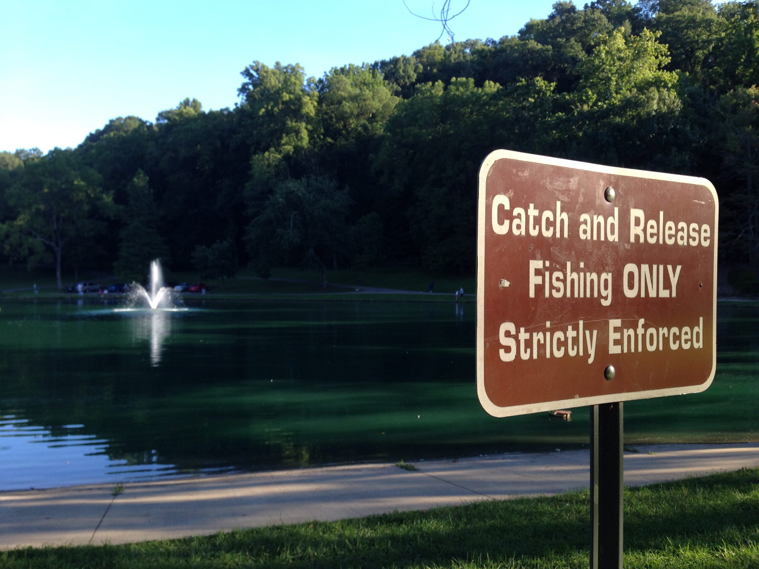 Catch And Release Fishing Only; Strictly Enforced